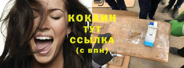 прущие грибы Армянск