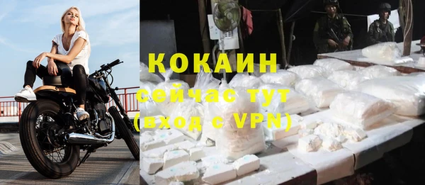 прущие крисы Арсеньев